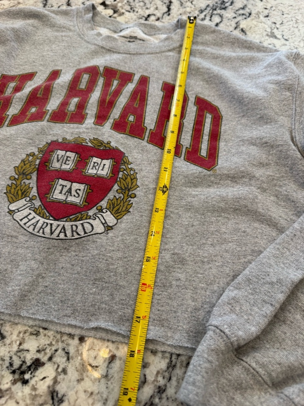 Harvard Cropped Sweatshirt Gray Crewneck Ivy League Graphic Size S - Picture 7 of 9
